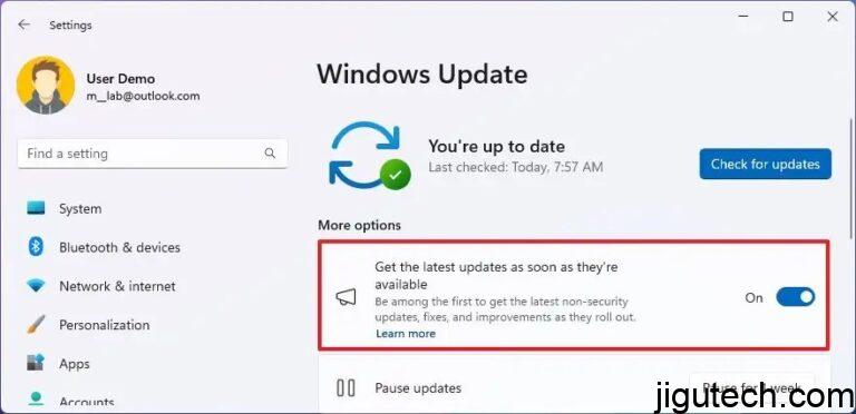 如何在Windows 11上启用新功能预览(测试版频道)