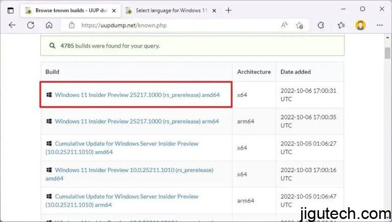 如何使用UUP转储下载Windows11内部版本25346或任何ISO文件