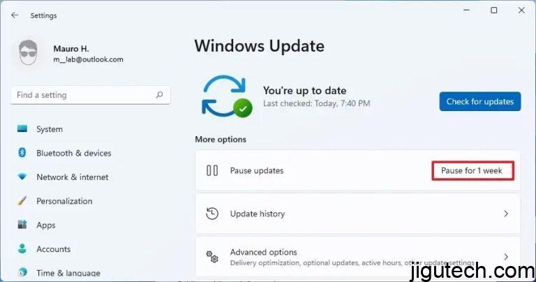 如何在Windows 11上禁用自动更新