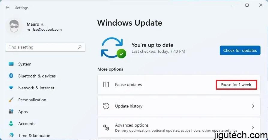 windows-11-disable-updates-temporary
