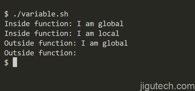 viewing the output of local and global variables in bash function via the Linux shell