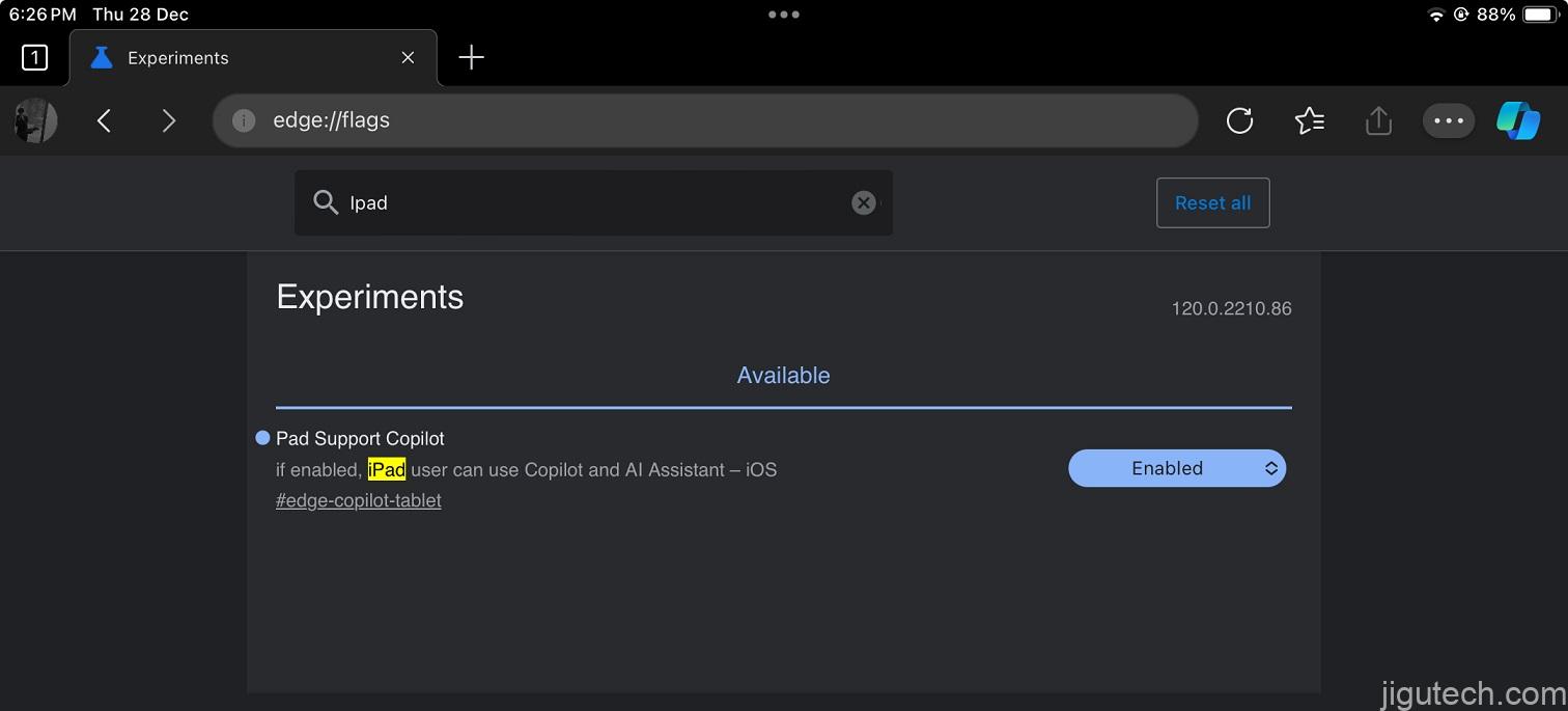 iPad 上的 Microsoft Edge Copilot